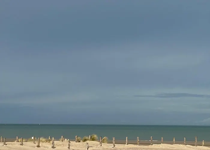 Maison Belle Rade : L'amarre *